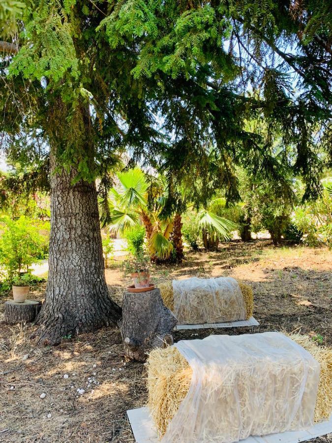 Trulli Pietra Viva Villa Alberobello Eksteriør bilde